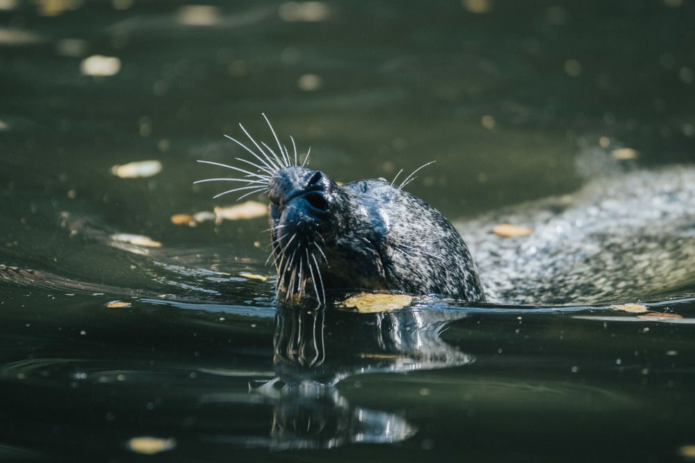Photograph by Piotr Cichowski