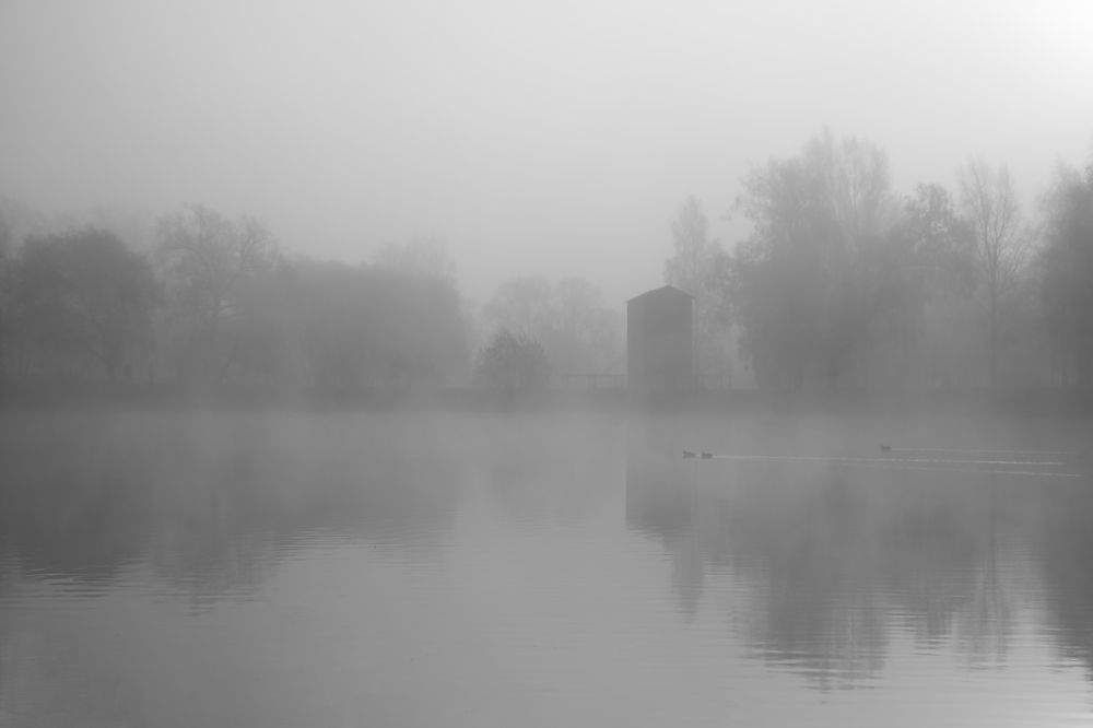Photograph by Мария Кириллова-Минова