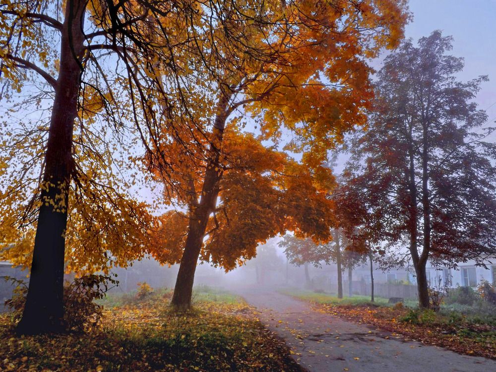 Photograph by Дмитрий Крылов