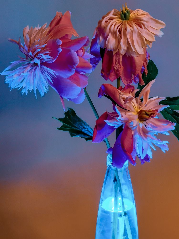 Photograph by Юлия Осипенко