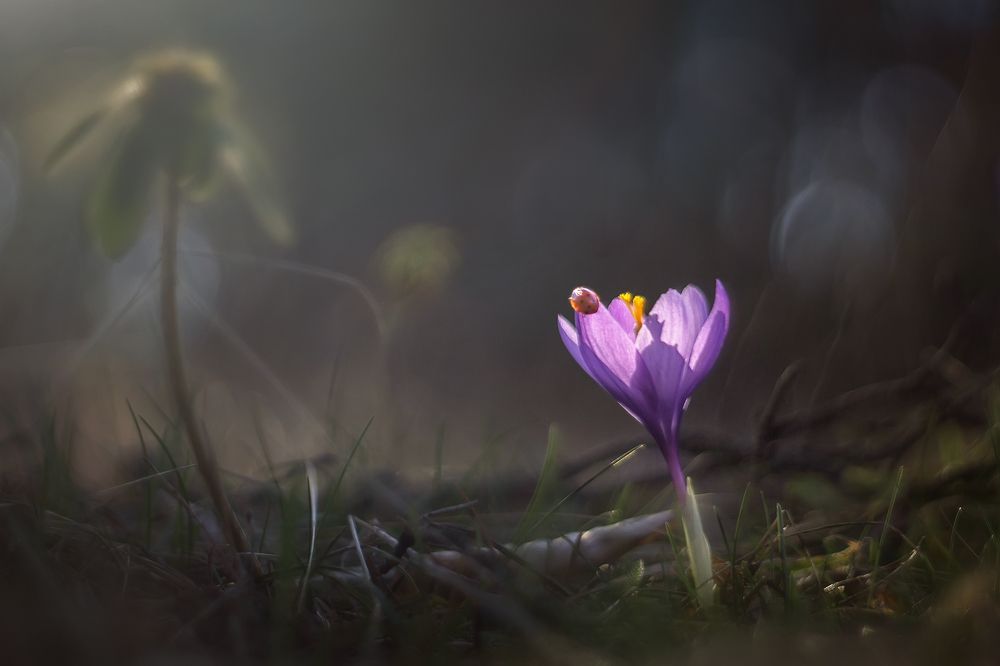 Photograph by Petya Lazarova