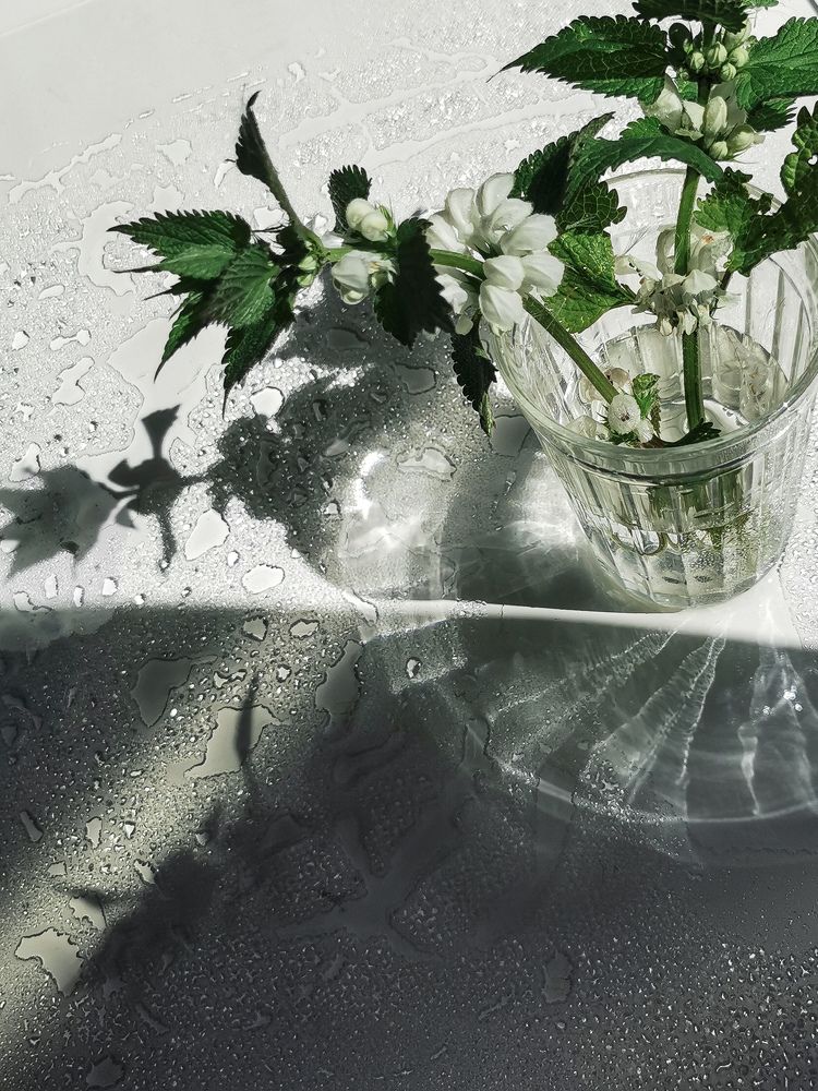 Photograph by Юлия Осипенко