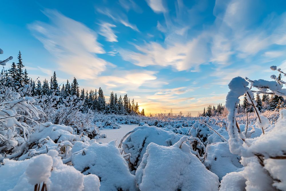 Photograph by Виктор Куликов