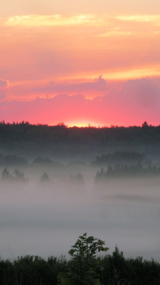 Photograph by сергей павлов