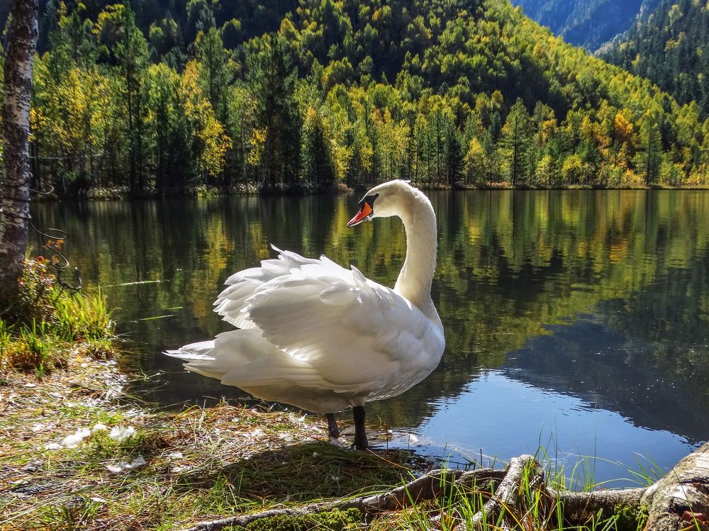 Photograph by Юля Стриж