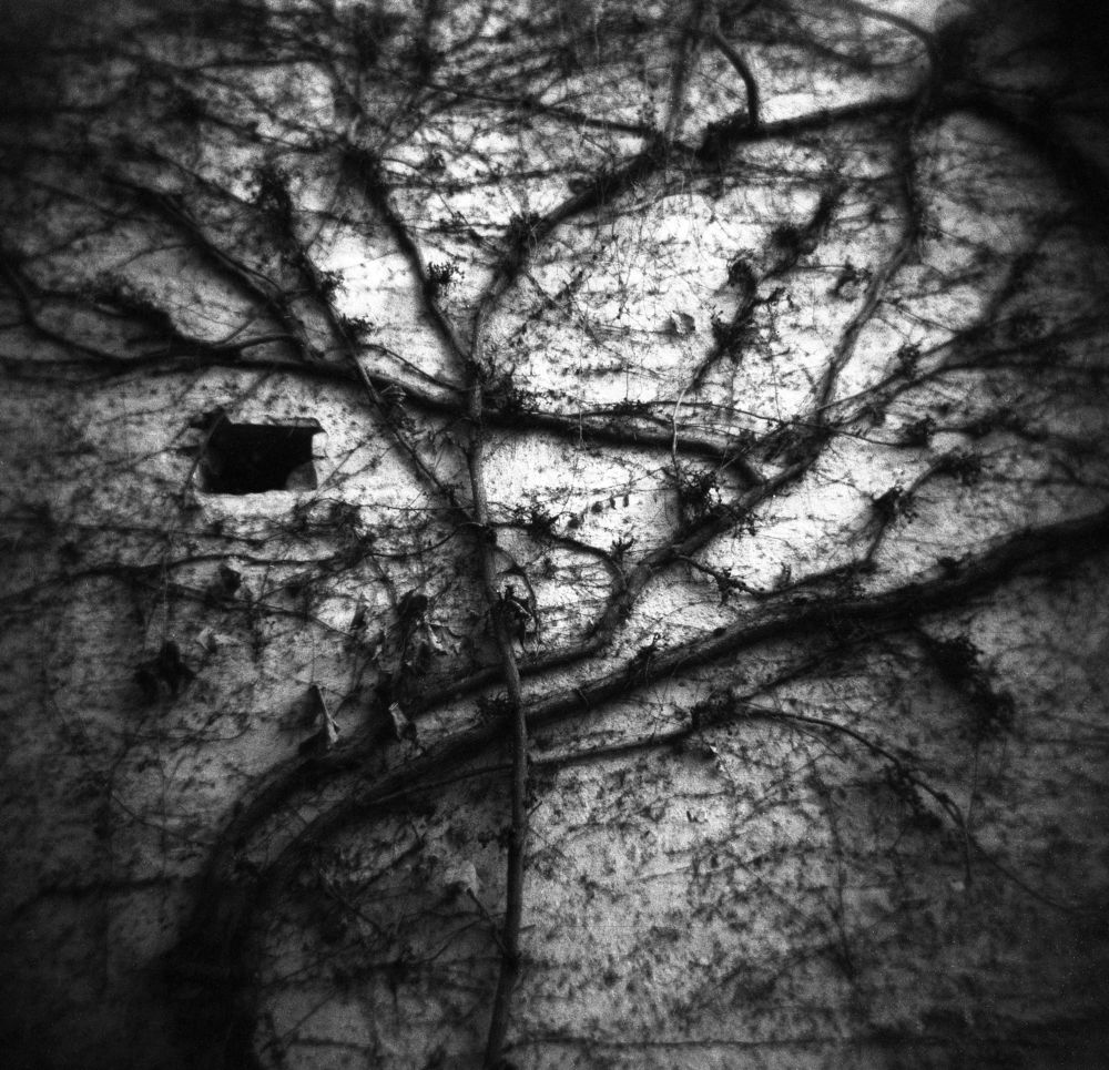 Photograph by Ludmila Stepnova