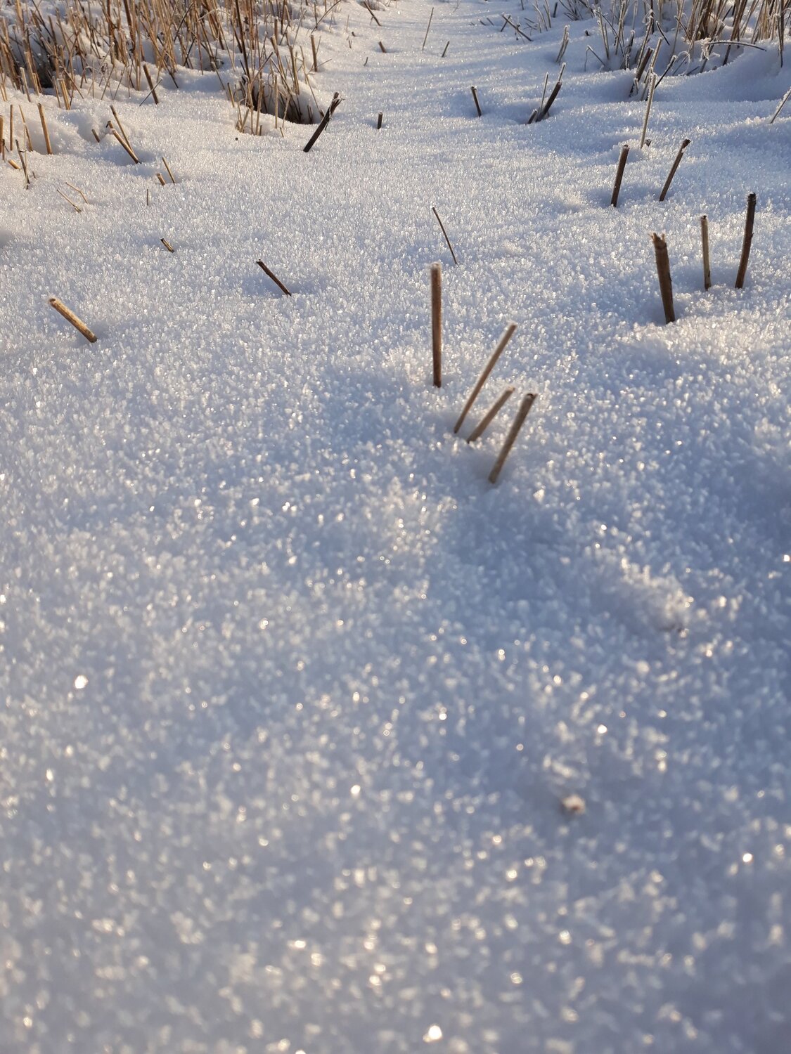 Photo #5852544