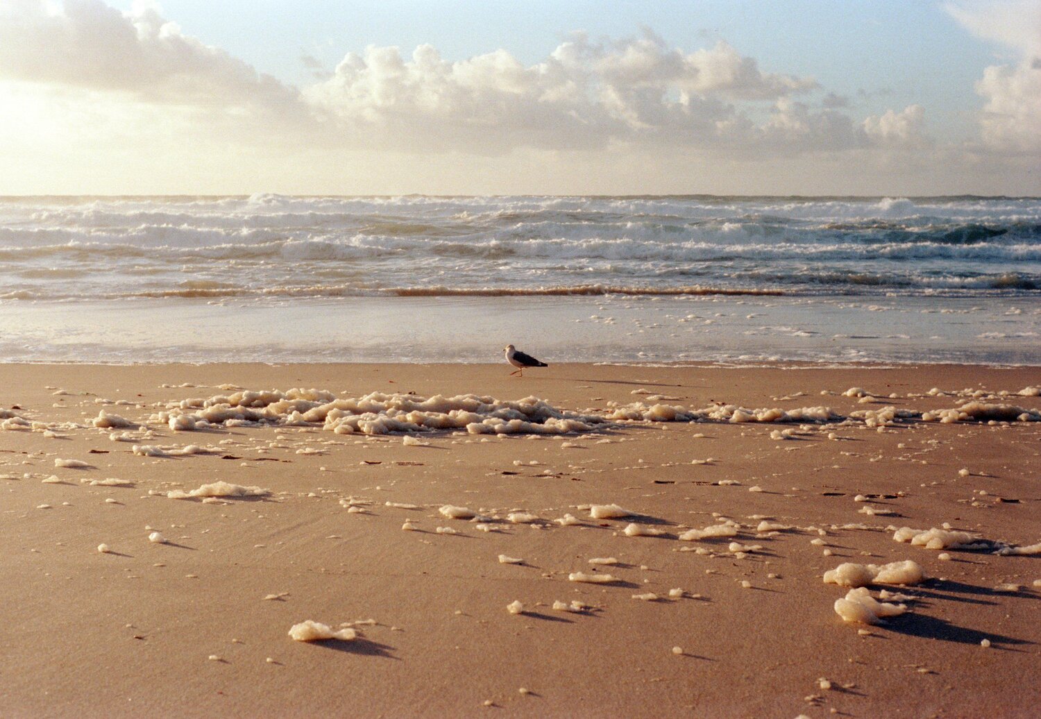 Photo #5852577