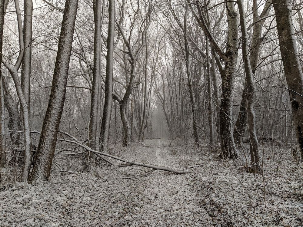 Photograph by Светлана Кондрашова