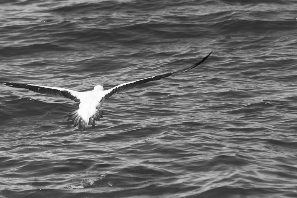Photograph by Marco Disessa
