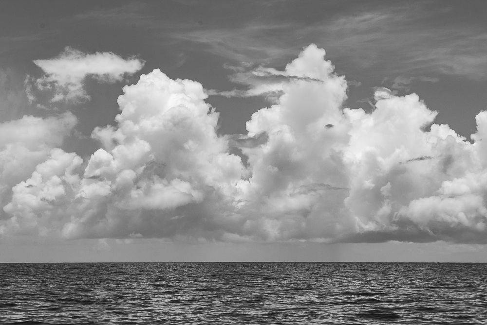 Photograph by Marco Disessa
