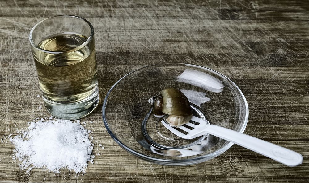 Photograph by Данил Мандрыгин