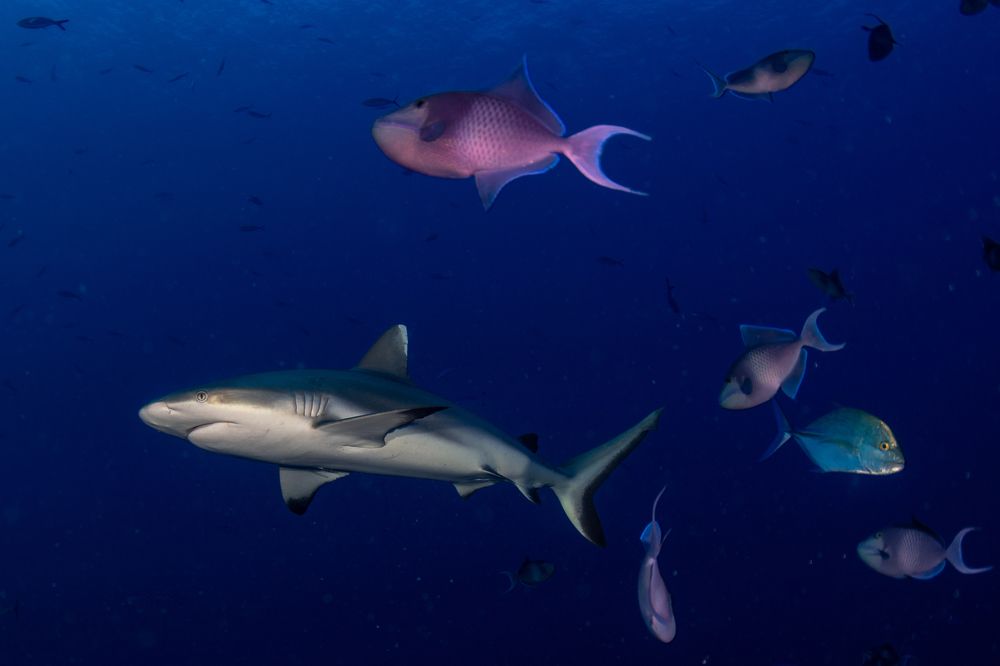 Photograph by Carlos Eduardo Barreto Pinheiro