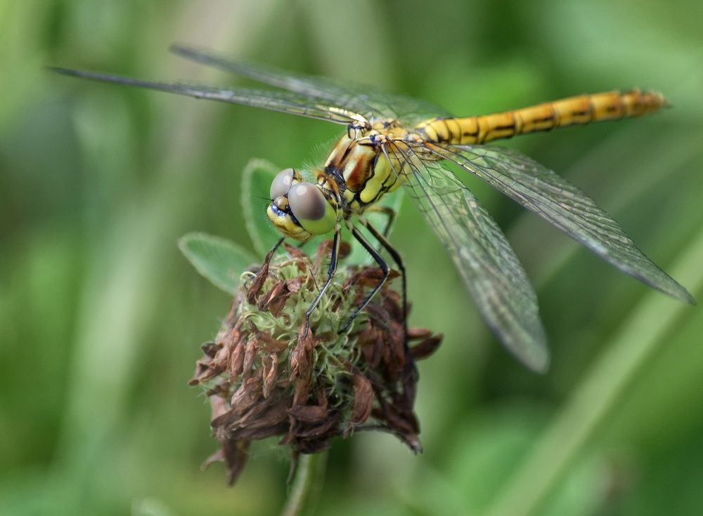 Photograph by Ирина Курицына