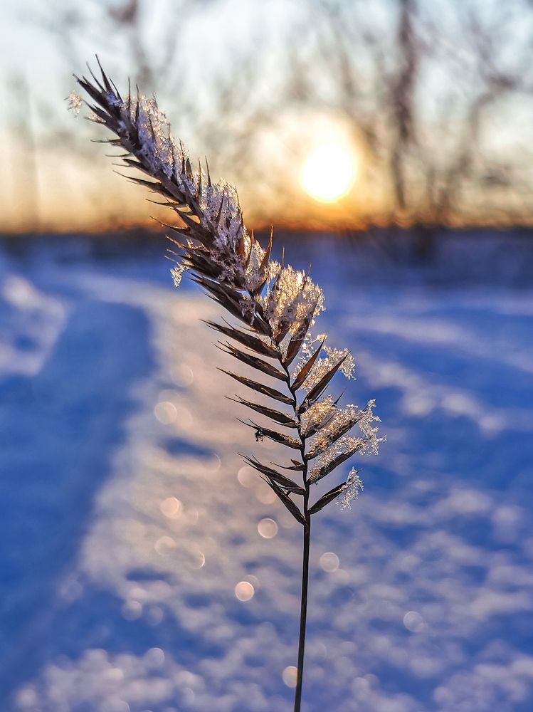 Photograph by Сергей Таранов