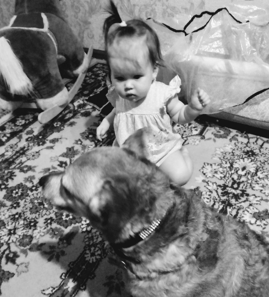 Photograph by Нина Гирнык