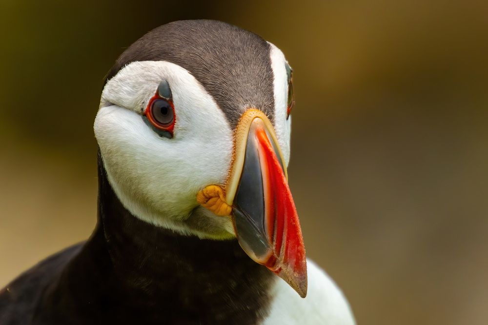 Photograph by Nora Young