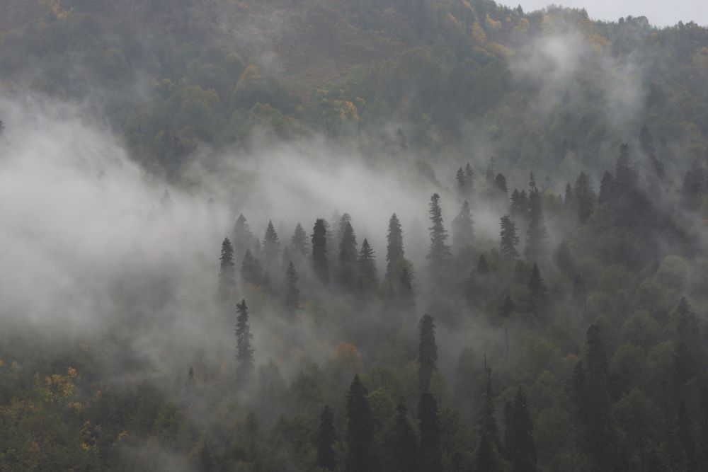 Photograph by Антон Герасимов