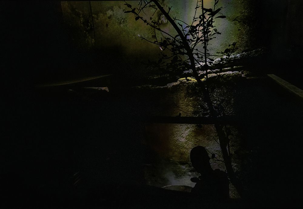 Photograph by Małgorzata Wakuluk