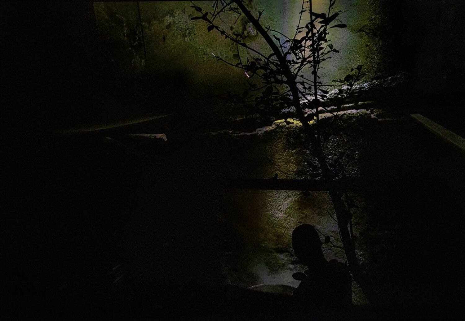 Photo #5852922