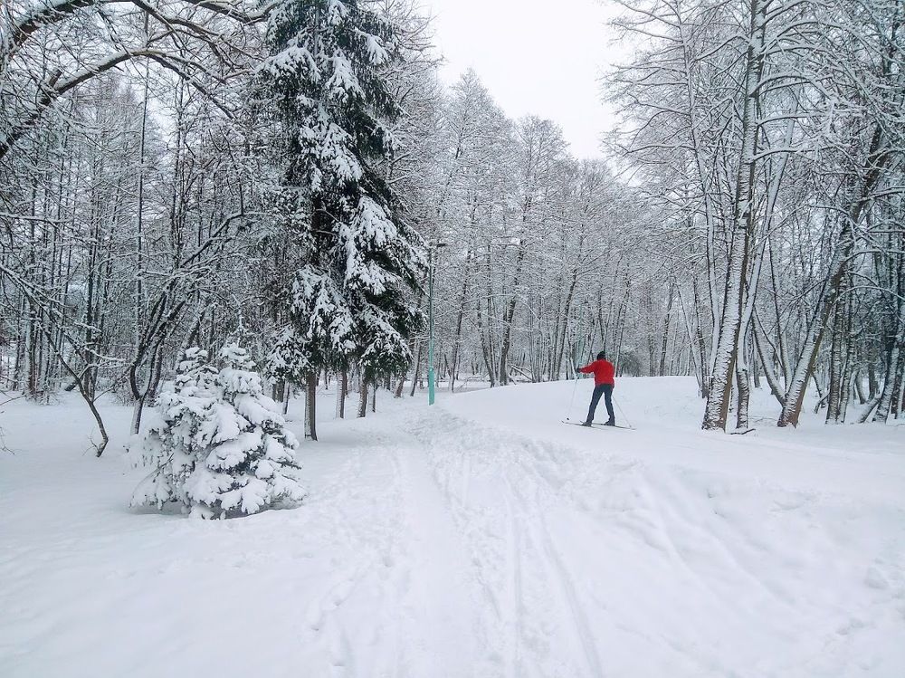 Photograph by Людмила Муравьева