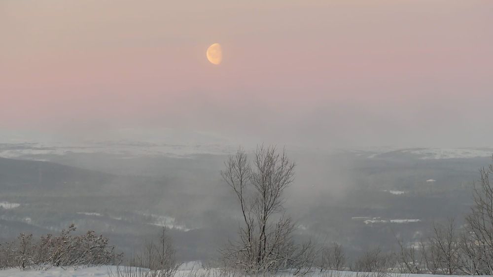 Photograph by Елена Данченко