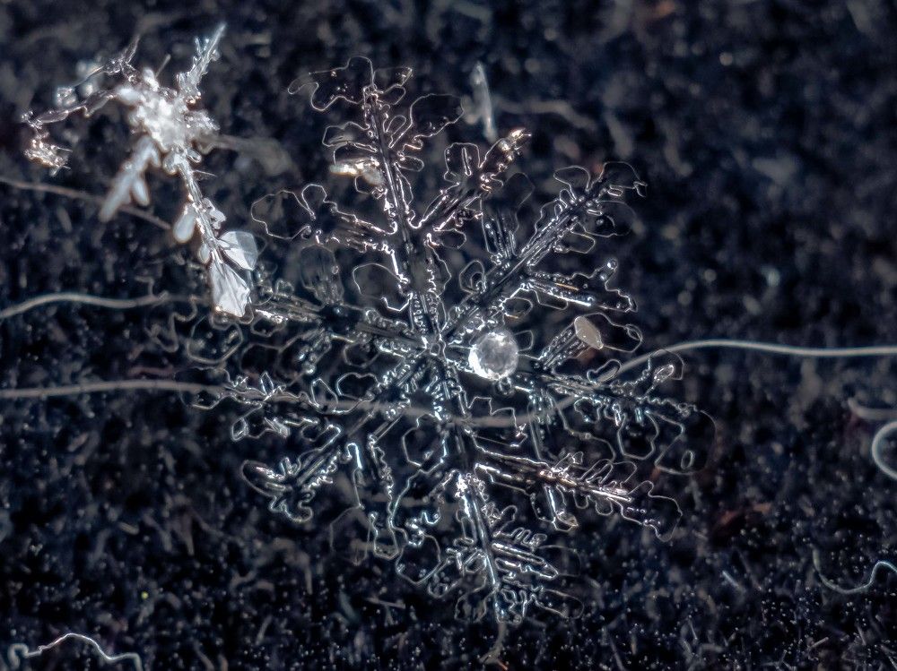 Photograph by mikhail goryachev