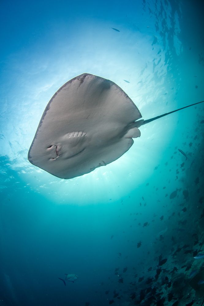 Photograph by Carlos Eduardo Barreto Pinheiro