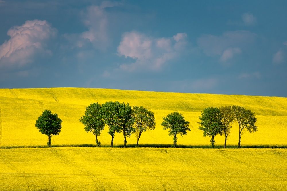 Photograph by Jan Ulicki