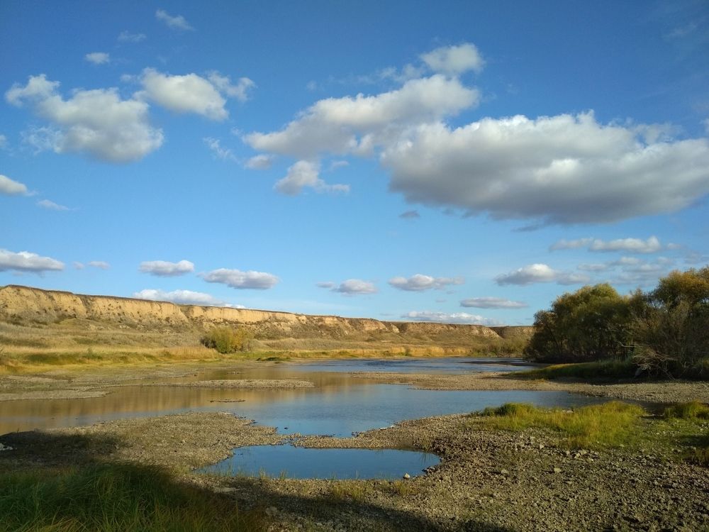 Русло реки Омь