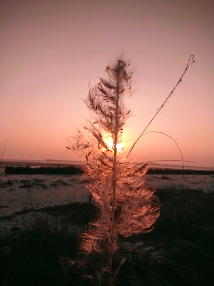 ID: The Sunset View From The Might Bay