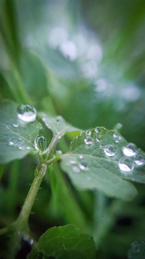 Photograph by Andzhelina