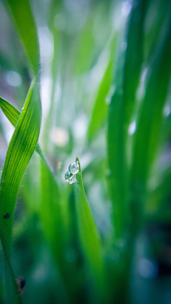 Photograph by Andzhelina