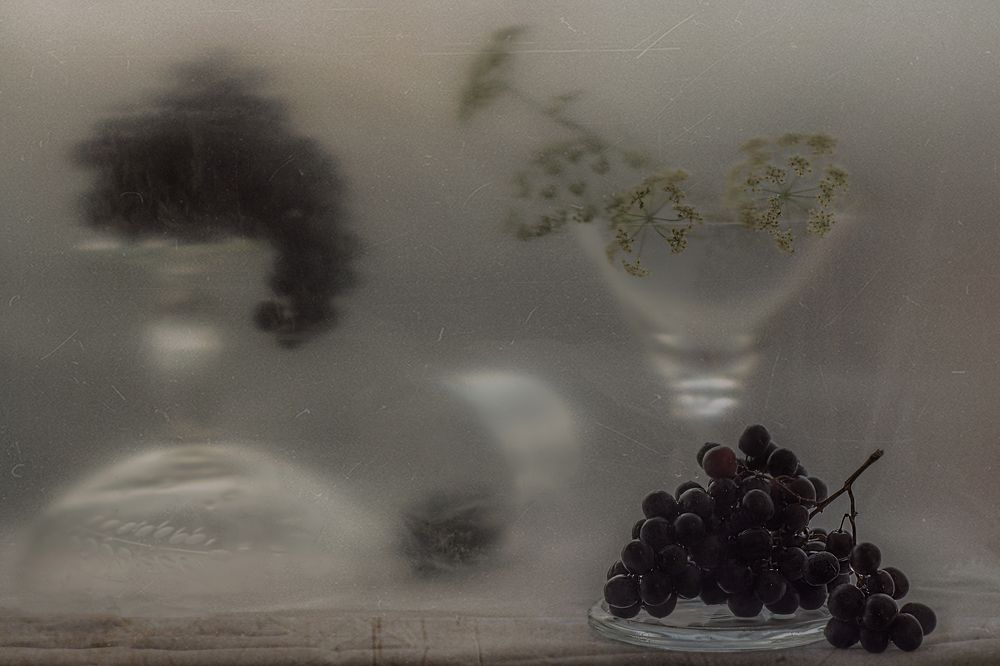 Photograph by Светлана Лехмус