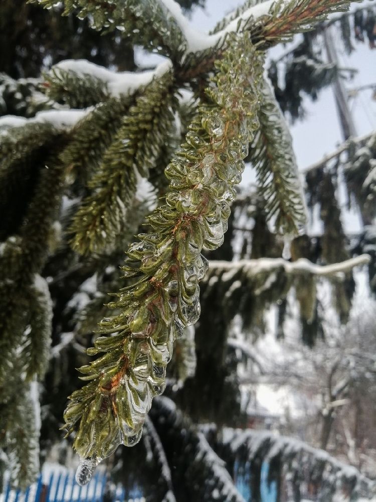 Photograph by Кристина Шеполухина