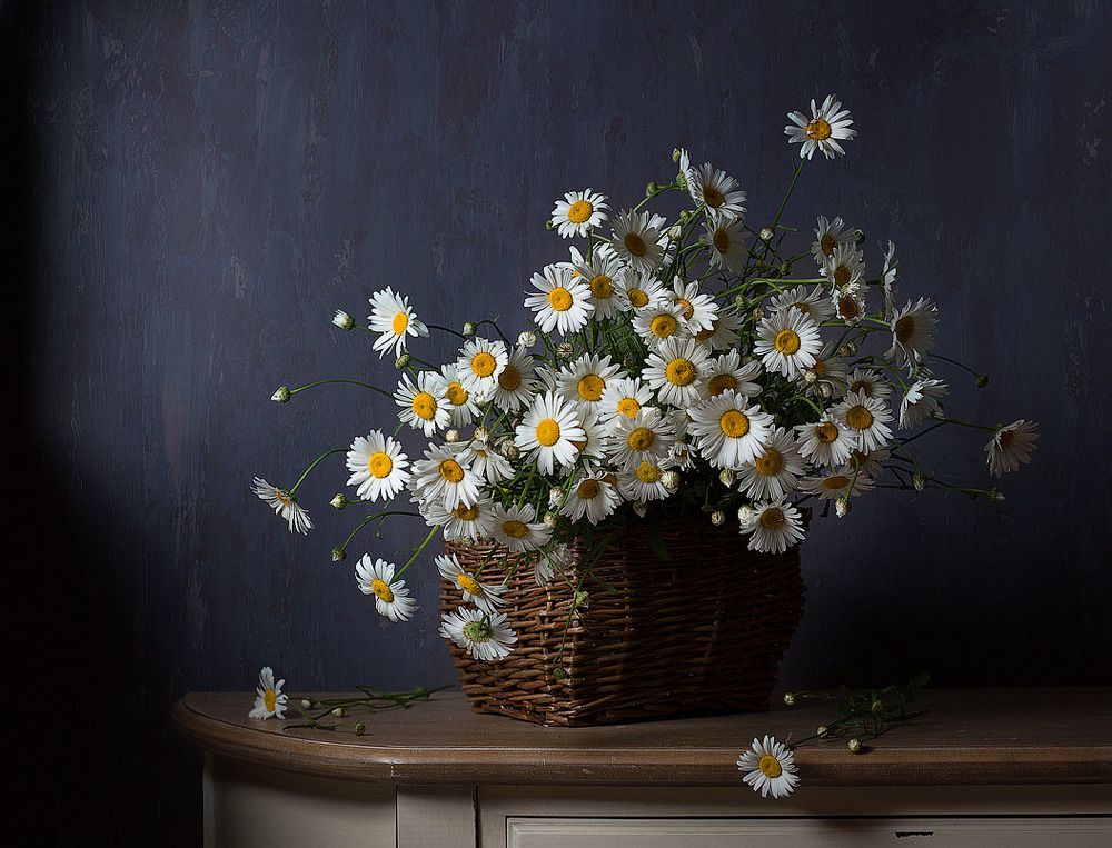 Фотография автора Алина Ланкина