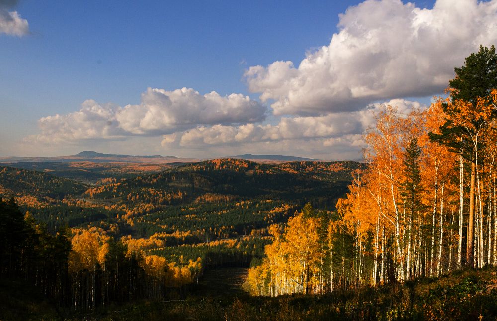 Photograph by Попел Ирина