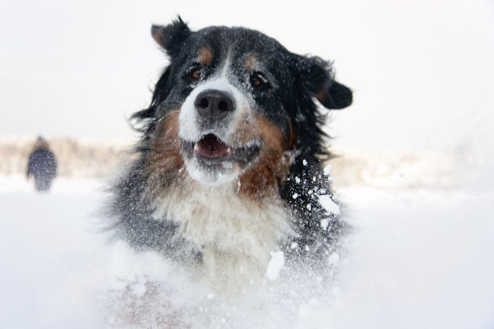 Photograph by Анастасия Павлова