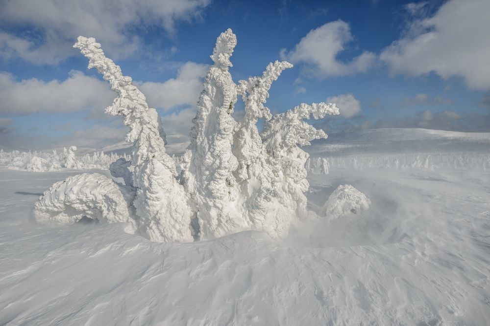 Photograph by Кутыгин Эдуард