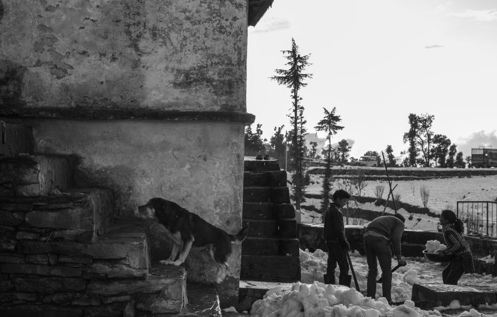 Photograph by Amaan Ali