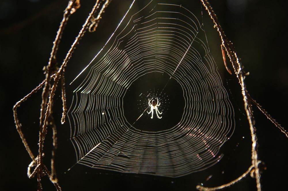 Photograph by Анастасия Павлова