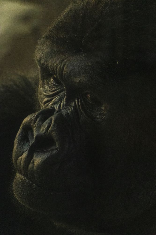 Wild at heart ♥️