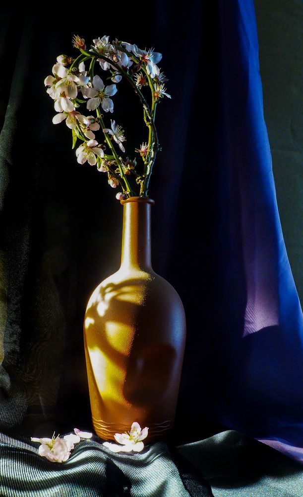 Цветы и тени