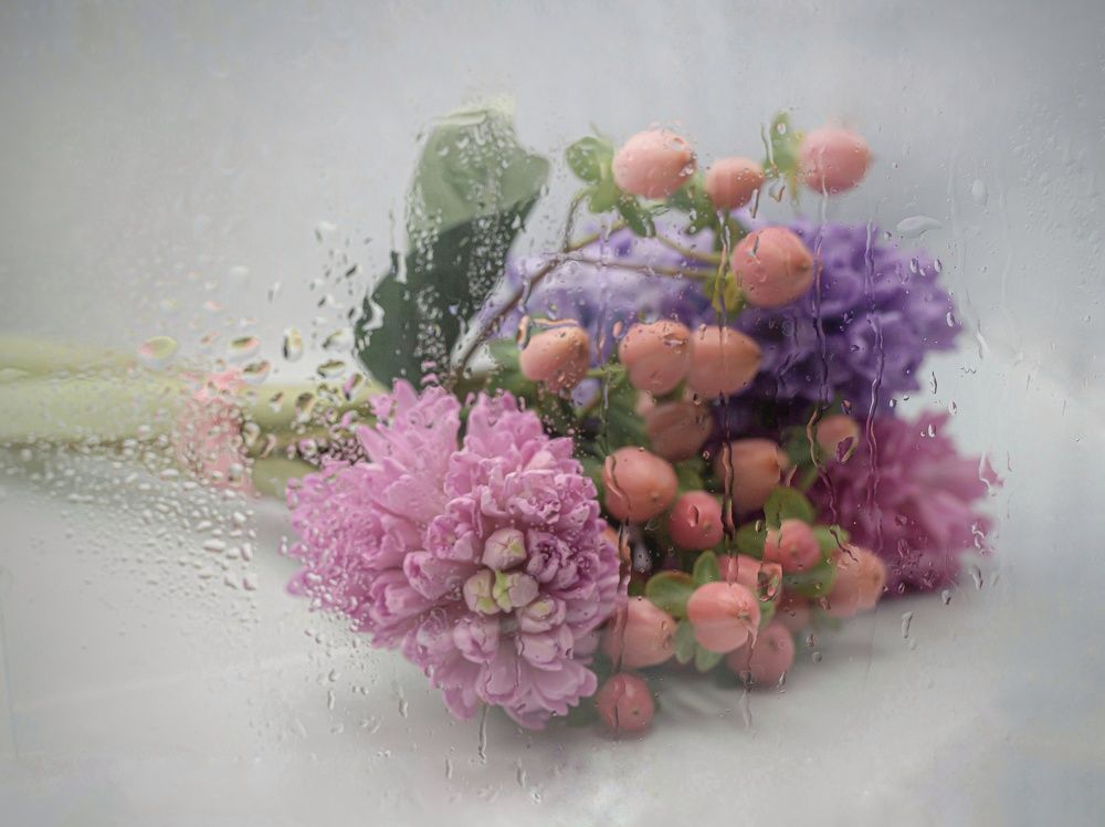 Photograph by Ольга Воронова