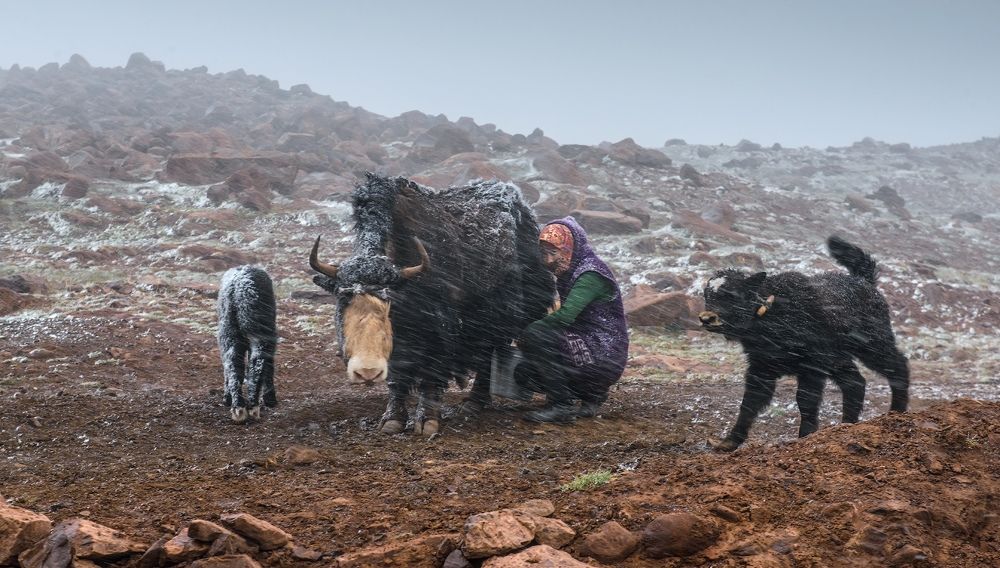 Photograph by Кутыгин Эдуард