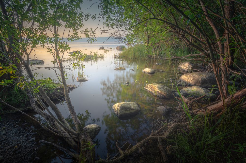 Фотография автора Светлана Морозова
