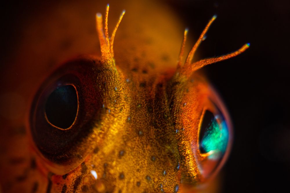 Photograph by Carlos Eduardo Barreto Pinheiro