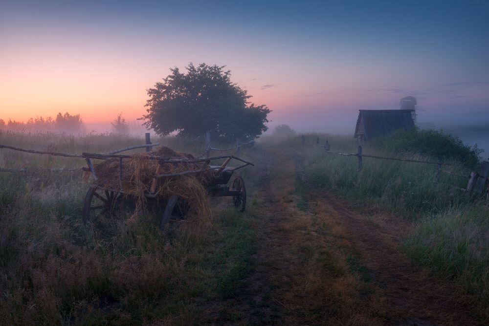 Затерянные в тумане