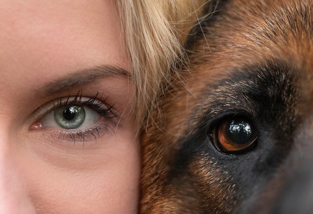 Photograph by Karina Saarestik