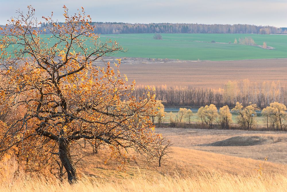 Photograph by Владислав Никишин